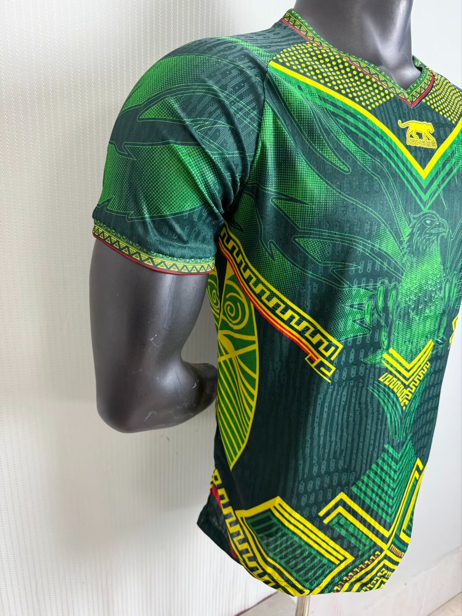 Player Version 2026 Mali Away Jersey